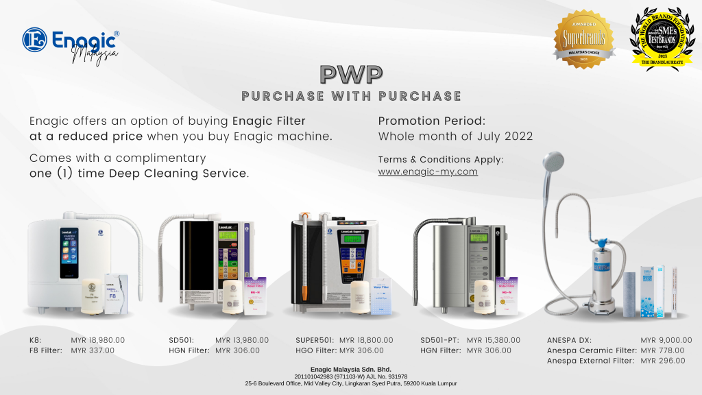 PROMO | Purchase with Purchase! (PWP)
